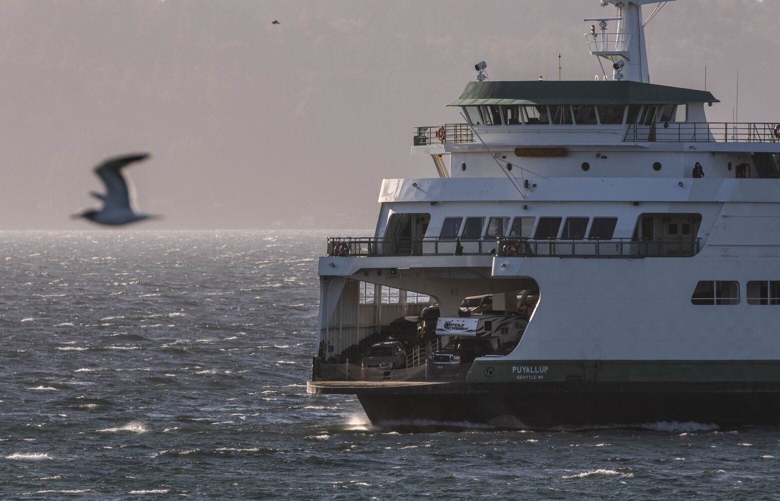 Ferry on Edmonds-Kingston route disabled after apparent log strike