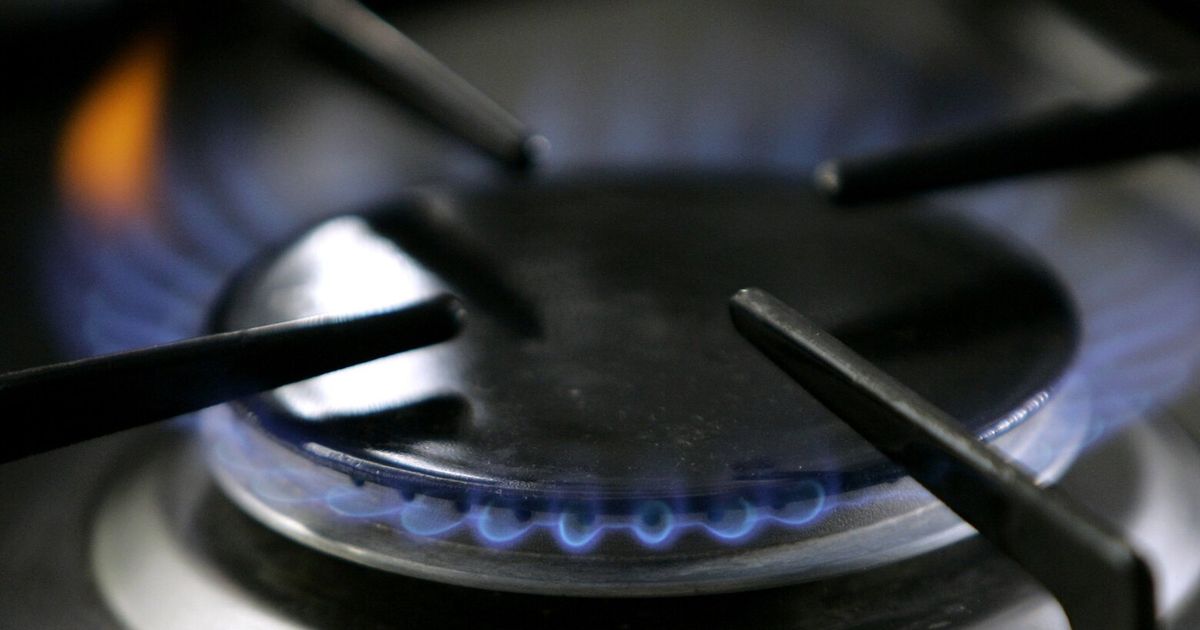 What we know about natural gas cooktops in WA The Seattle Times