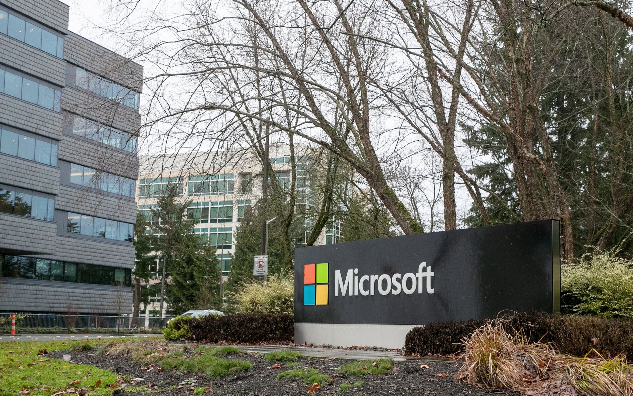 Nabs Seattle Seahawks As a Cloud Customer Out From Microsoft