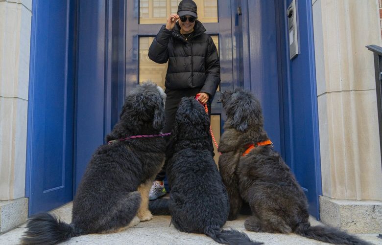 Bethany Lane, founder of Whistle & Wag, a dog walking service in Manhattan, Jan. 16, 2023. It is a lucrative time to be a dog walker, especially for pet entrepreneurs who cater to the wealthy. (Calla Kessler/The New York Times)