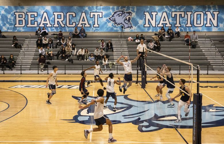 The Baruch College Bearcats, left, host St. Joseph’s in men’s volleyball at the ARC Arena in Manhattan, Jan. 24, 2023. Of all the fabrications conjured by Rep. George Santos, the most fabulous may have been his claim to volleyball stardom with Baruch, a school he never attended. (Dave Sanders/The New York Times) XNYT128