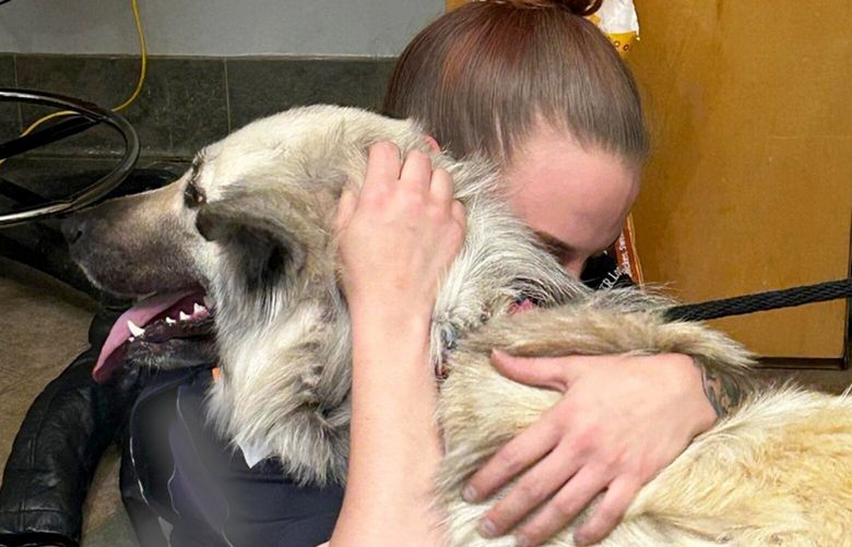 Lilo was reunited with her mom on Jan. 25 at the McKamey Animal Center. MUST CREDIT: Courtesy of McKamey Animal Center