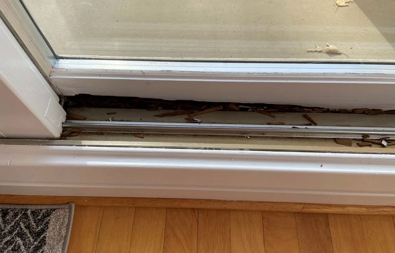 A rotting wood door will only get worse. Here’s how to fix it. (Washington Post reader photo).