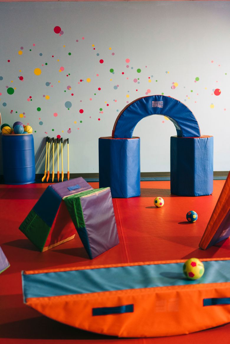 When Private Equity Came For The Toddler Gyms?  