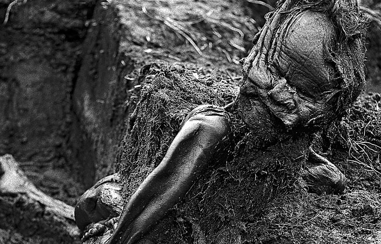 A photo provided by the Moesgaard Museum shows Grauballe Man, a bog body that was uncovered in 1952 from a peat bog near the village of Grauballe, Denmark. Grauballe Man’s throat was slit in the third century B.C. (Moesgaard Museum via The New York Times) – NO SALES; FOR EDITORIAL USE ONLY WITH NYT STORY SLUGGED SCI BOG BODIES BY FRANZ LIDZ FOR JAN. 30, 2023. ALL OTHER USE PROHIBITED. – XNYT16 XNYT16