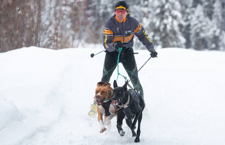Mikki Douglass is a U.S. Forest Service employee and member of the Northwest Sled Dog Association who has been skijoring for 15 years, pictured here racing with Ta Wee, left, and Berdy.