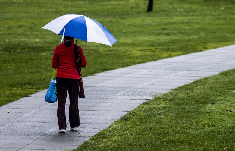 A parkgoer walks through a soggy park after a rain shower at Idylwood Park in Redmond. (Daniel Kim / The Seattle Times, 2022)