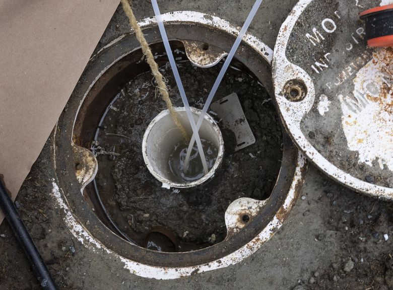 A pump attached to a rope and two hoses is lowered into a 250-foot deep well at Salmon Run Nature Park in Issaquah for groundwater sampling. One hose will force air into the pump. The air will push water up through the other hose, back to the surface for testing. (Ellen M. Banner / The Seattle Times)