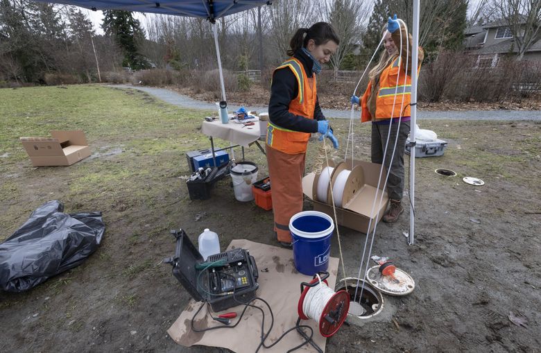 Groundwater sampling is done by geologists Courtney van Stolk, left, and Jenner Smith at Salmon Run Nature Park in Issaquah. (Ellen M. Banner / The Seattle Times)