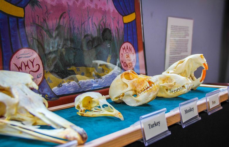 Exhibits in the Museum of Curious Things include taxidermy, crypto-zoological samples, cultural artifacts and other various oddities collected over the years.