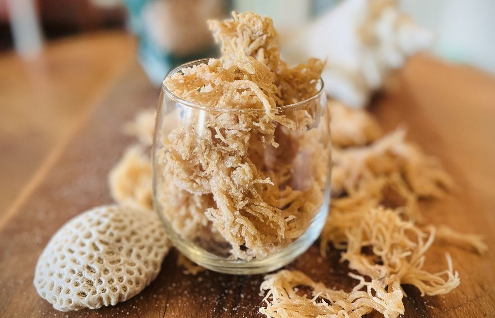 How to make trendy Irish Moss: It's like eggnog — except with algae