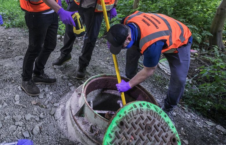 Friday, June 26, 2020    Gina Chang, a student volunteer with RAIN lab waits for sludge to sample from a sewer catchment basin for testing and tracking COVID-19.  Environmentalists for the City of Tacoma are from left, Chad Atkinson, Steve Shortencarrier and Steve George.     214362