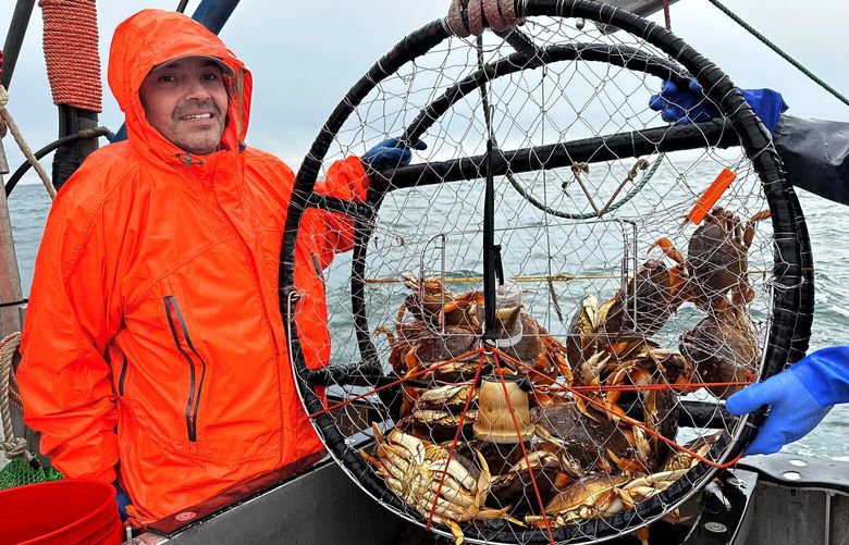 Dylan Jorgensen, a deckhand on the 46-foot F/V Miss Kathleen, this week with a catch of Dungeness crab off of Westport. Chuck Custer is the captain and his wife, Jennifer Custer, does the bookkeeping. They live in Ocosta, an unincorporate community in Grays Harbor County.