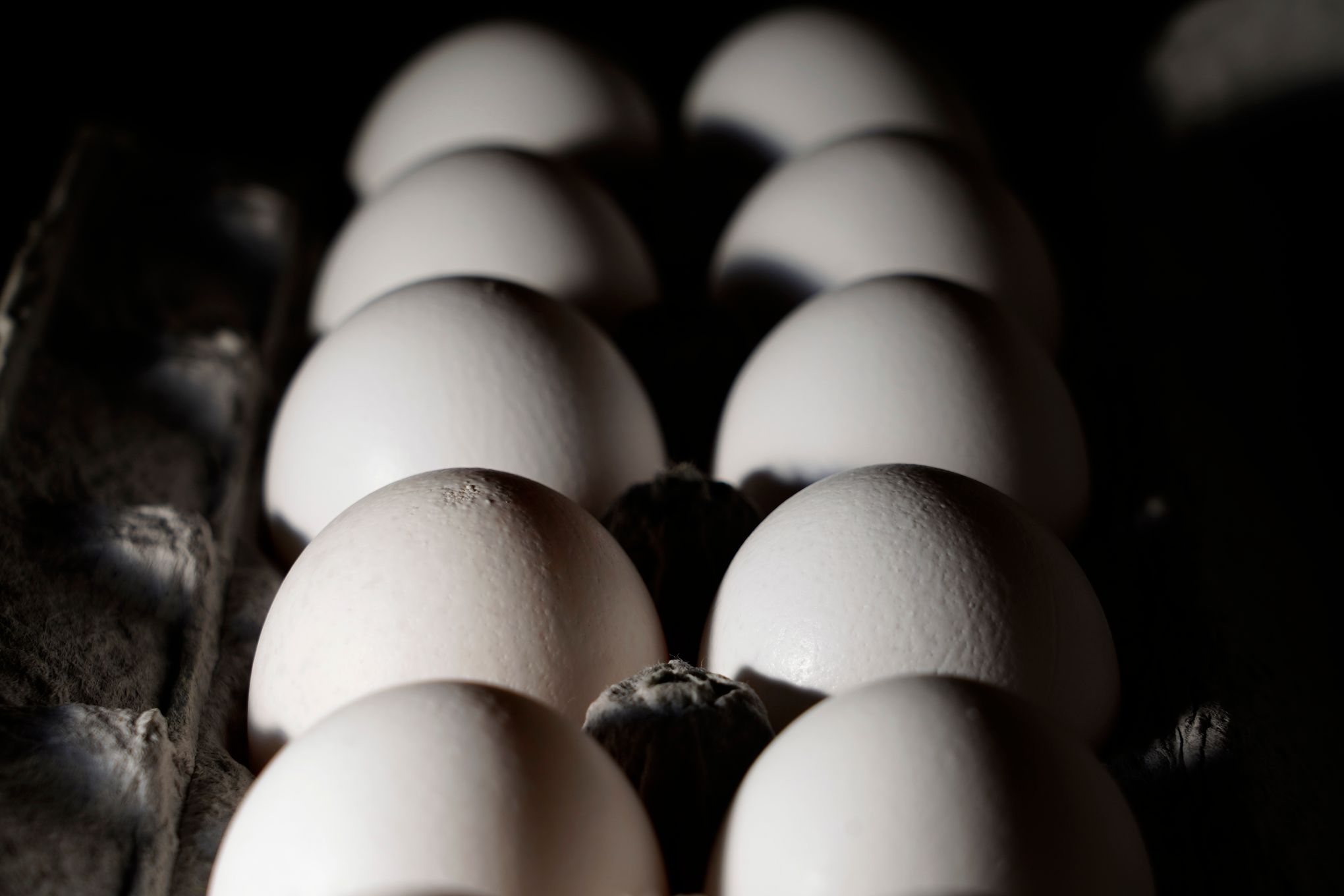 What to Know About the Egg Shortage and Misinformation - The New York Times