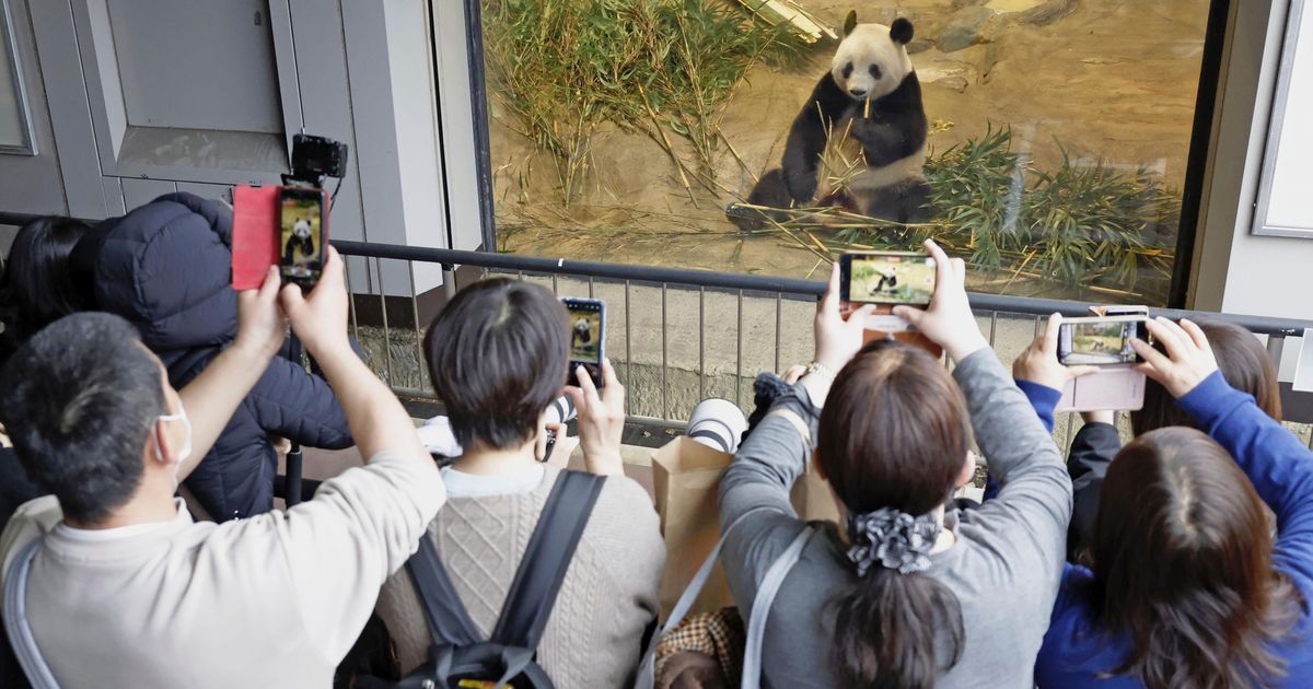 Japanese bid farewell to beloved panda returning to China The Seattle