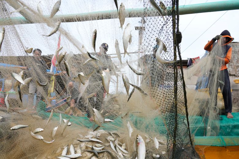 Illegal fishing endangers both ecosystems and food security
