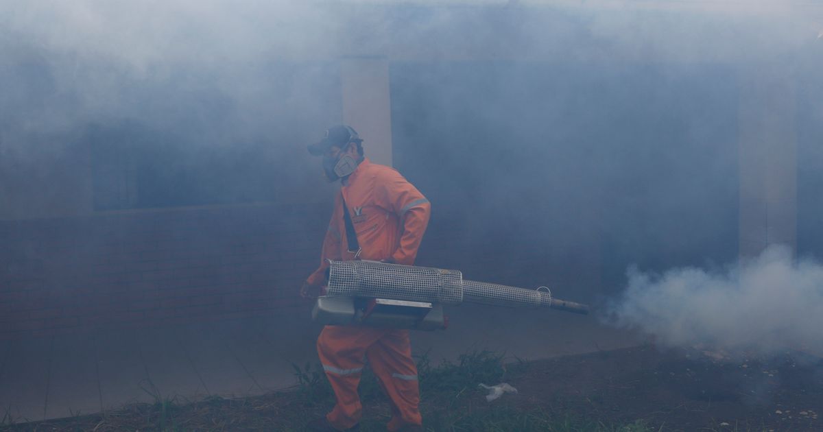 Bolivian hospitals under strain as dengue kills dozens The Seattle Times