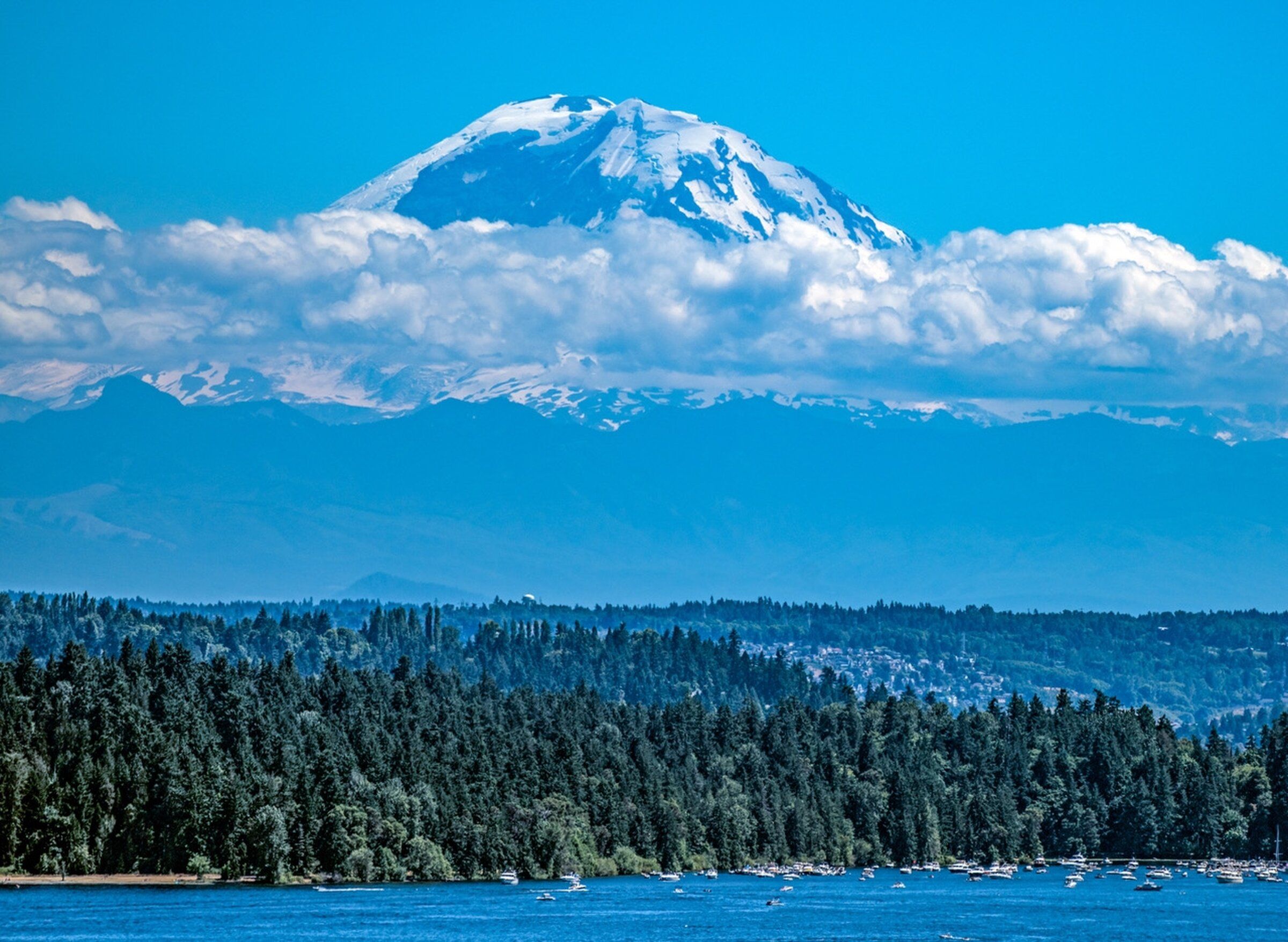 For April Fools' Day, a newcomers' guide to Seattle's quirky codes