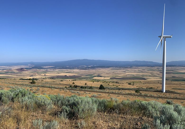 A wind turbine overlooks land where a proposed upper reservoir, taking up about 60 acres, would be built as part of the proposed Goldendale Energy Storage Project. Leaders of the Yakama Nation say Goldendale&#8217;s proposed location is sacred, holding archaeological, ceremonial and First Food gathering sites that would be irreparably damaged by the project. (Luis Carrasco / The Seattle Times)