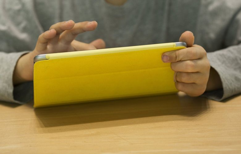 A youth uses an iPad Mini in 2015. (Victor J. Blue/Bloomberg)