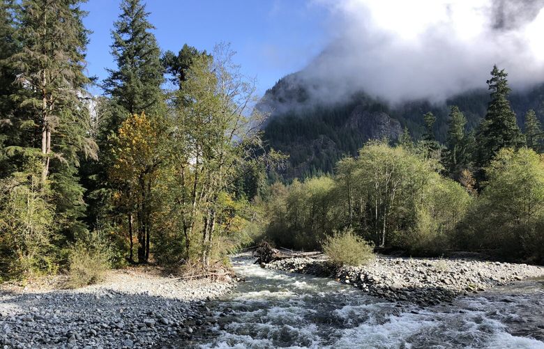 Just off the Middle Fork Connector Trail, you’ll find lovely spots to sit and enjoy the views of Garfield Mountain along with the sounds of the Taylor River.