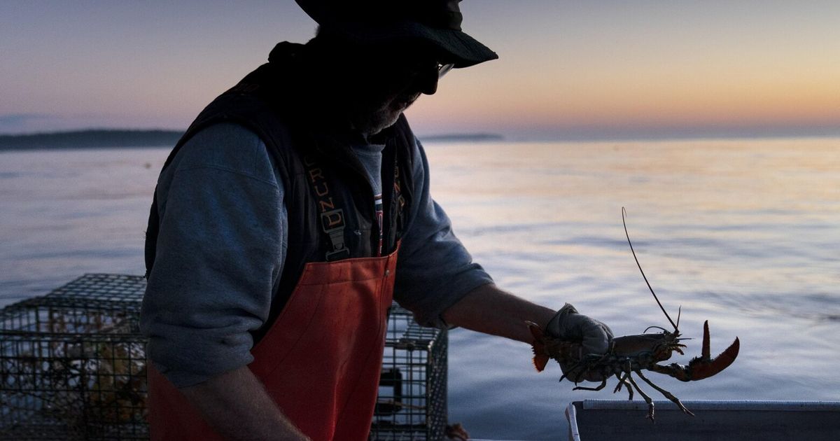 Donoteat listing draws lawsuit from Maine lobster industry The