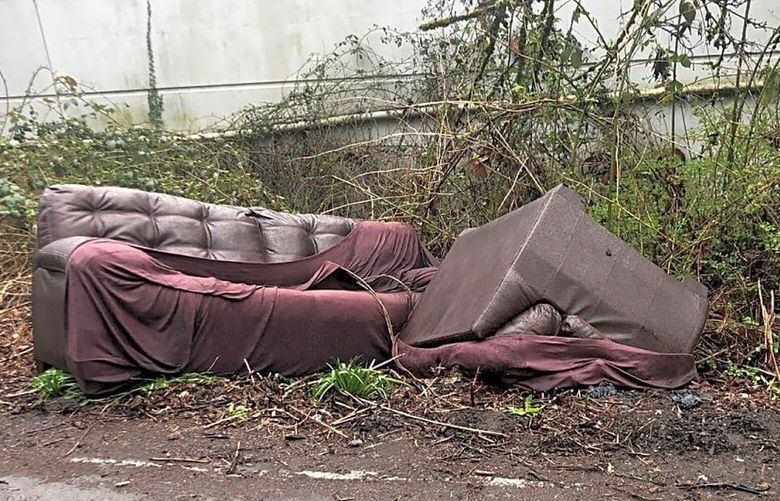 In a pilot project using voice warnings and cameras, the city of Seattle is cracking down on people who dump their trash illegally.