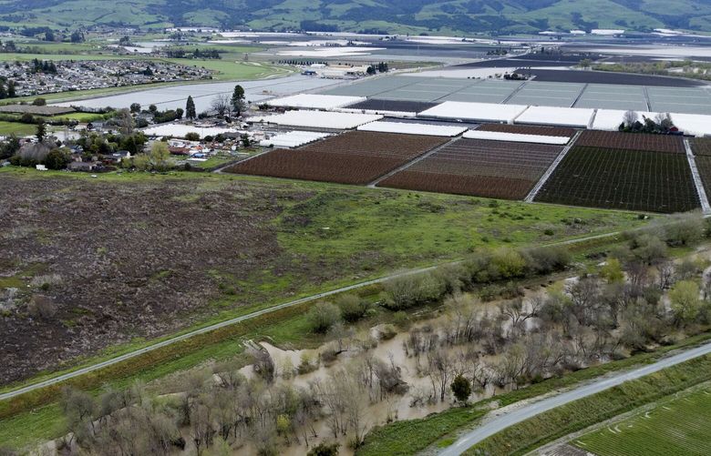 This photo provided by the California Strawberry Commission shows a flooded Pajaro River area in Pajaro, Calif. on Tuesday, March 14, 2023. California’s strawberry farms have been hit hard by this year’s winter storms. Industry experts estimate about a fifth of strawberry farms in the Watsonville and Salinas areas have been flooded since a levee ruptured last week and another river overflowed. (California Strawberry Commission via AP) LA315 LA315