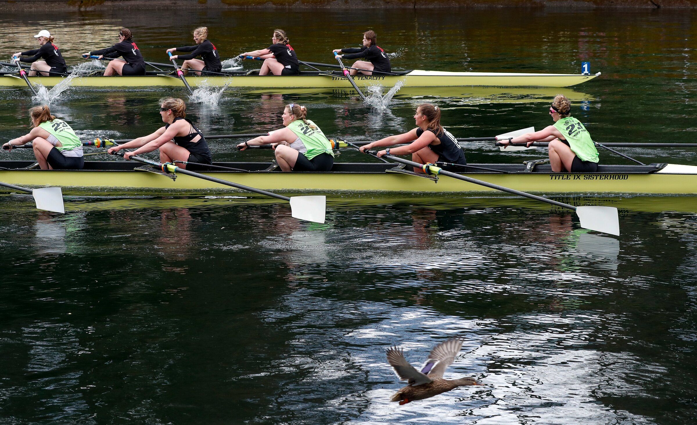 It s unanimous Class Day Regatta is a big deal for UW rowing