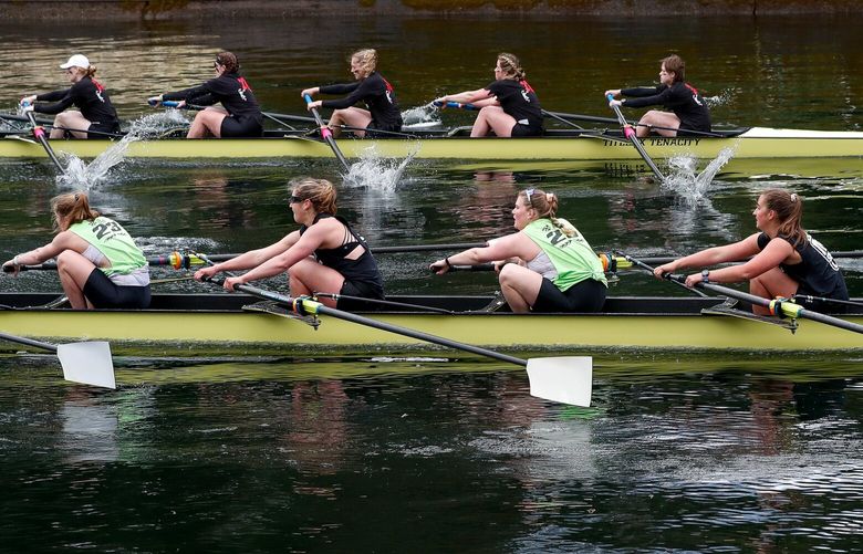 Montlake Cut – Class Day Regatta – University of Washington men’s and women’s crew – 031922
A female mallard duck keeps pace with the racing shells as the Junior women’s boat, bottom, pulls away from the Seniors to win by 2.16 seconds in the The Seattle Times Women’s Eight during the Class Day Regatta Saturday, March 19, 2022 in Seattle, Wash. 219901
