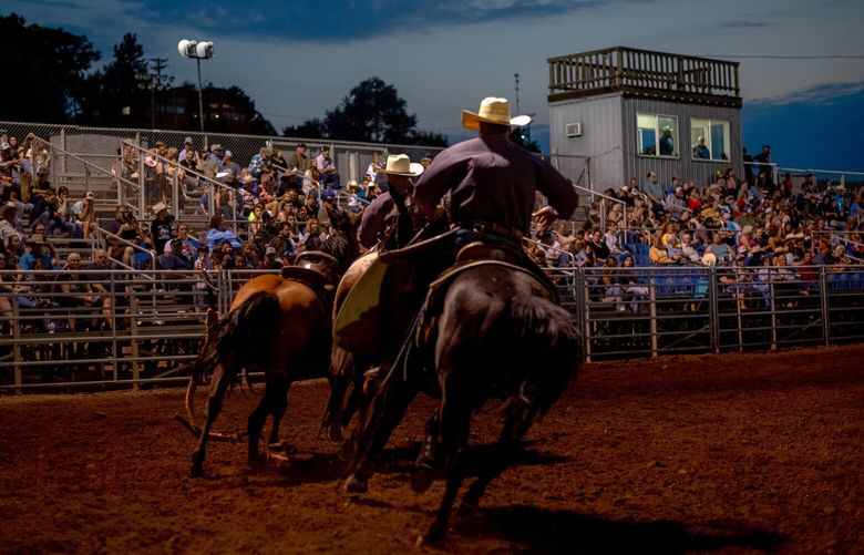 A horse is rounded up after bucking its rider during a rodeo at the Morrow County Fair in Heppner, Ore., Feb. 8, 2023. That county and several others in eastern Oregon have voted to require regular meetings to discuss the “Greater Idaho” movement. (Hilary Swift/The New York Times) XNYT58 XNYT58