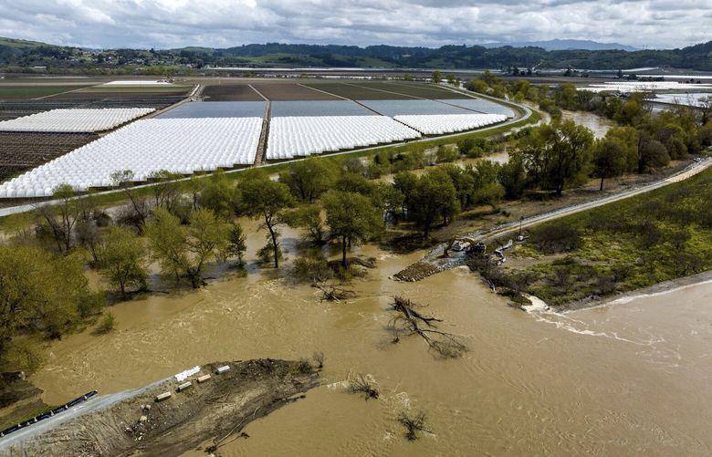 Modern-day prospectors take notice as raging California rivers replenish  historic Gold Rush spots