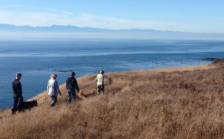 Hikers on the bluff at Iceberg Point, looking out from the southern tip of Lopez Island to the Strait of Juan de Fuca and the Olympic Range. (Brian J. Cantwell / The Seattle Times, 2017)