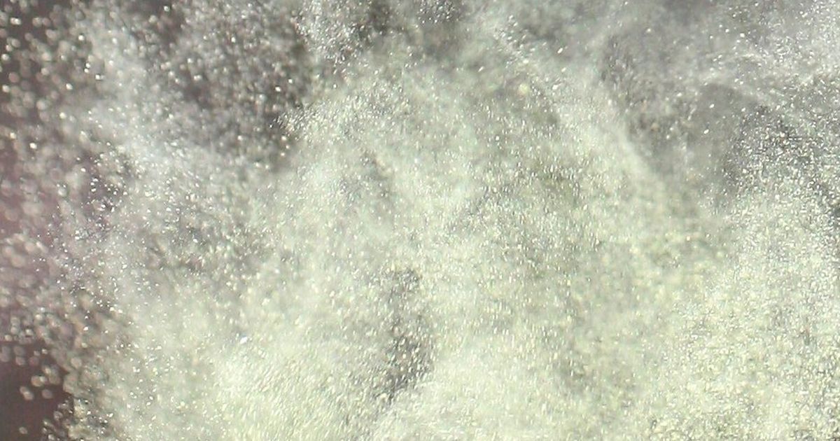 Seattle Pollen How climate change is worsening your allergies in WA | The Seattle Times