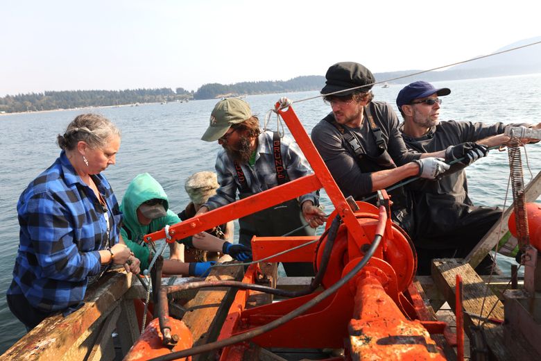 Reef netting is a sustainable fishing method and a link to Lummi heritage