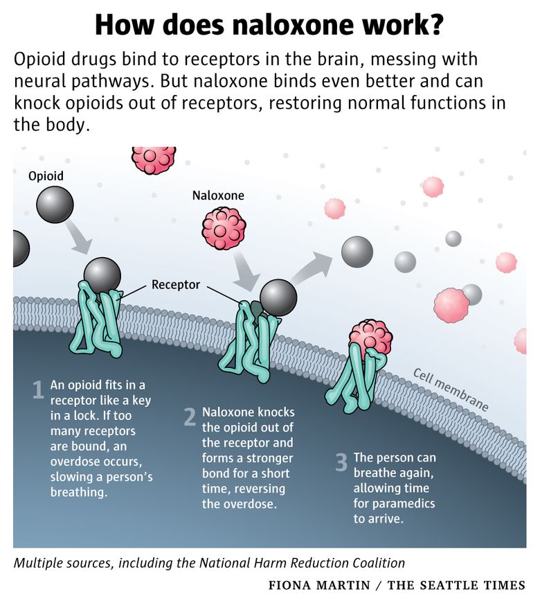 Fentanyl - Snohomish Overdose Prevention