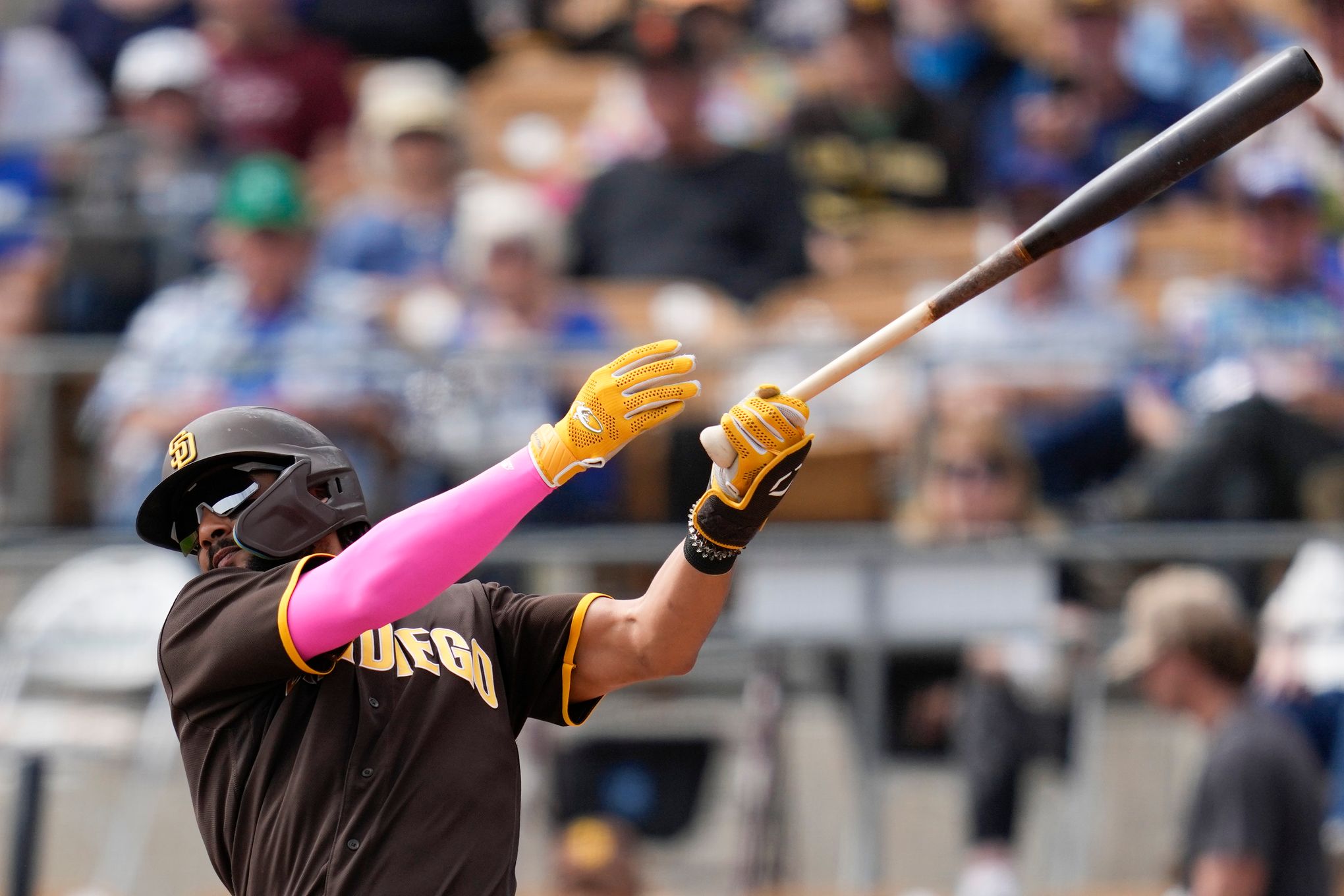 Fernando Tatis Jr. Rookie Year Highlights (Padres shortstop poised for big  2020!) 