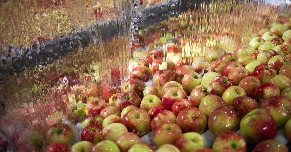 Leave WA apples out of international trade disputes The Seattle Times
