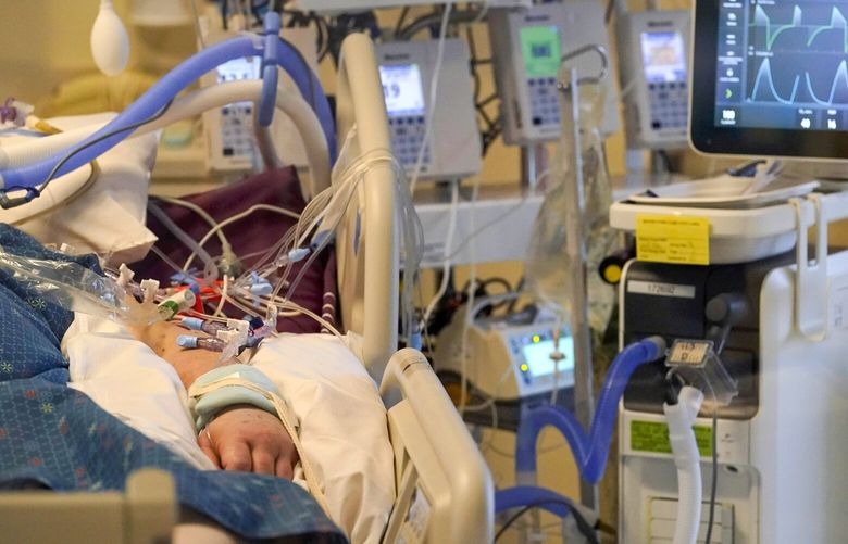 An unidentified COVID-19 patient is attached to life-support systems in the COVID-19 Intensive Care Unit at Dartmouth-Hitchcock Medical Center, in Lebanon, N.H., Monday, Jan. 3, 2022. Hospitals like this medical center, the largest in New Hampshire, are overflowing with severely ill, unvaccinated COVID-19 patients from northern New England. (AP Photo/Steven Senne) NYAG309