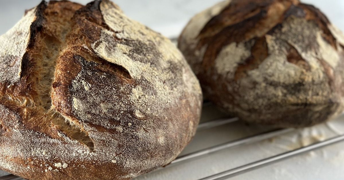 Is sourdough bread better for you? It depends on the loaf The Seattle