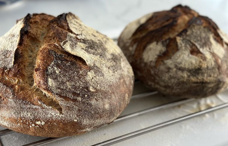 Although sourdough fermentation involves beneficial bacteria, sourdough bread is not a “probiotic” food. The real benefits of sourdough come from the fermentation process itself, writes Carrie Dennett. (Carrie Dennett / Special to The Seattle Times)