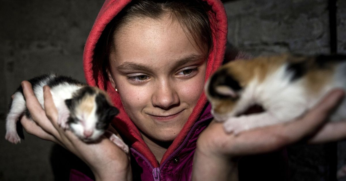 In Ukrainian village, a family lives under cloud of shelling The