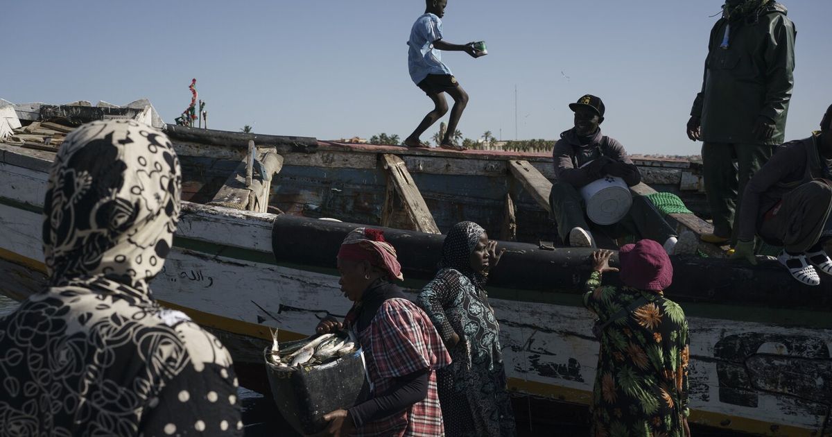 Senegal gas deal drives locals to desperation, prostitution | The ...