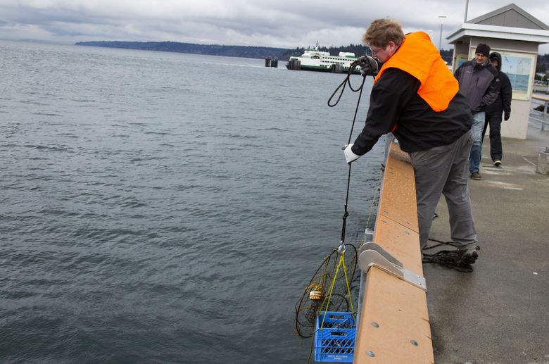 In Edmonds, hundreds take polar plunge into the new year