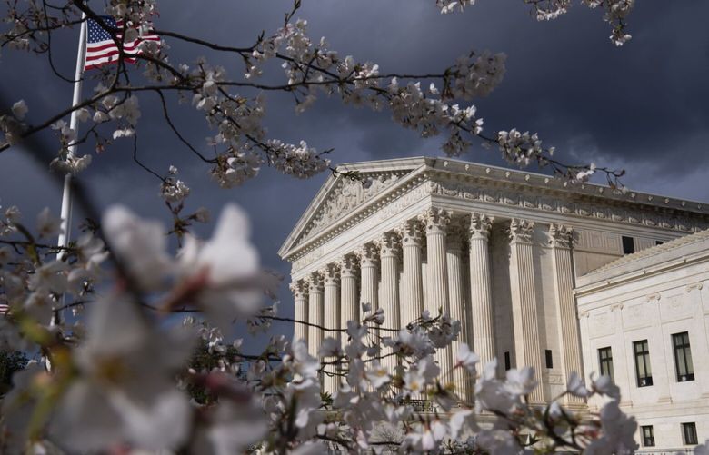 A cherry tree in bloom near the U.S. Supreme Court in Washington, D.C. MUST CREDIT: Bloomberg photo by Sarah Silbiger.