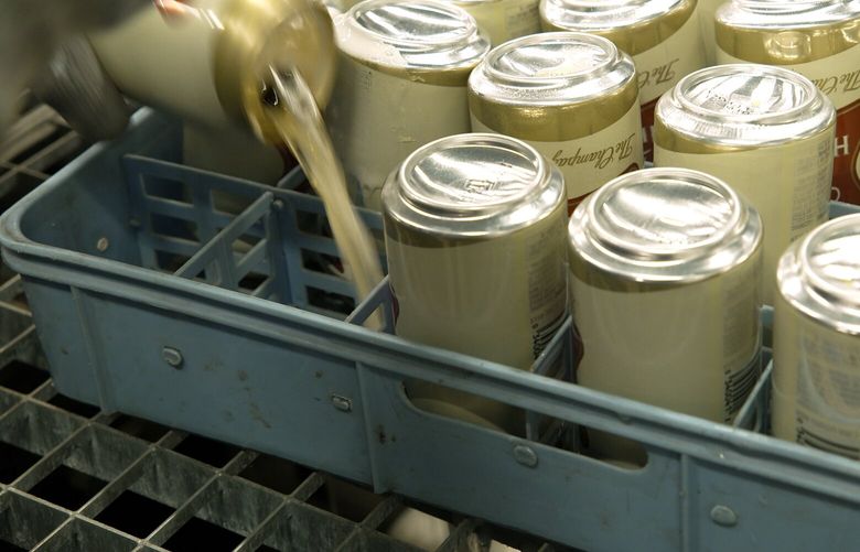 In this image provided by Comite Champagne, a worker pours out the contents of cans of Miller High Life beer prior to them being crushed at the Westlandia plant in Ypres, Belgium, Monday, April 17, 2023. Belgian customs have destroyed more than 2,000 cans of Miller High Life advertised as the ?Champagne of beers” at the request of houses and growers of the bubbly beverage.   (Comite Champagne via AP) VLM104 VLM104