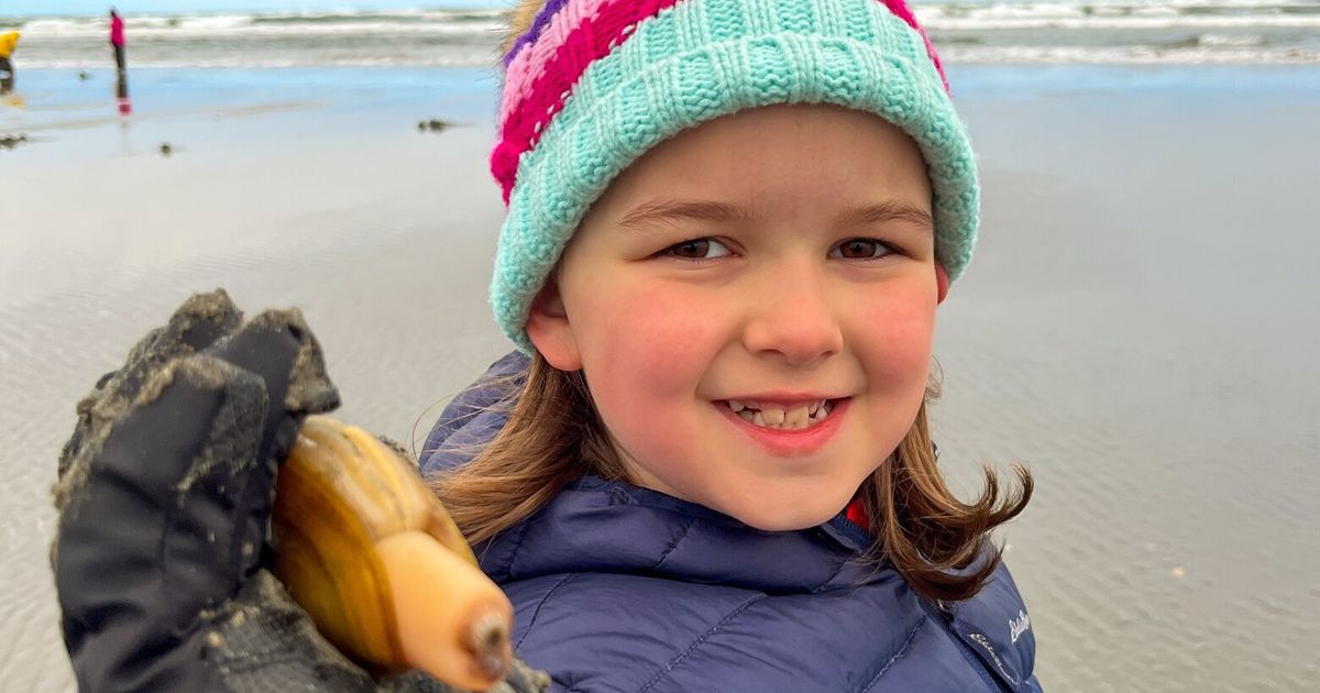 Why razor clamming in WA is a great familyfriendly outdoor activity
