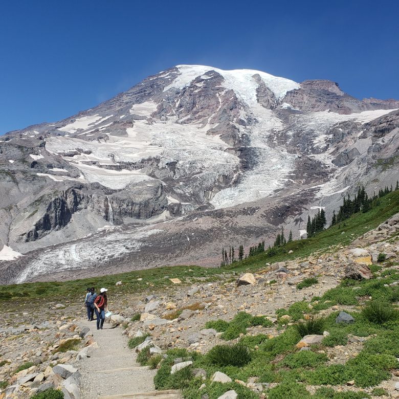 Skyline Trail in Mount Rainier National Park.  (Terry Wood / Special to The Seattle Times)