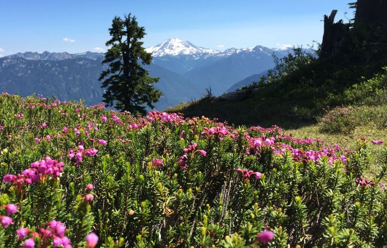 The Perry Creek Trail is a late-spring gem.