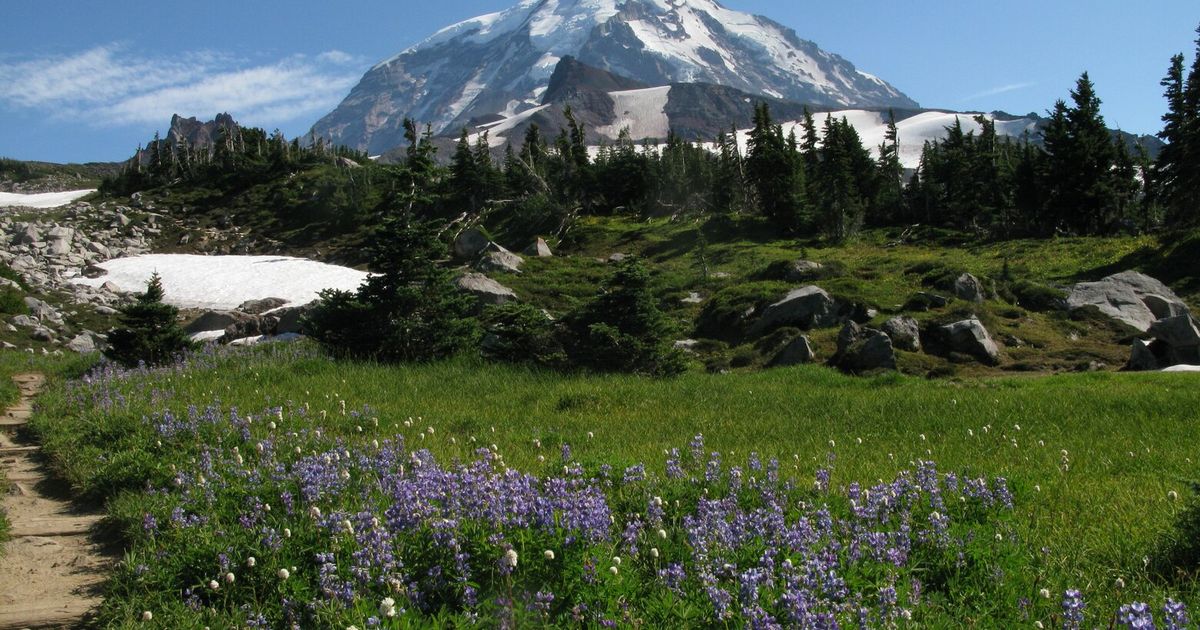 A Mount Rainier expert names his top 10 hikes around the mountain The
